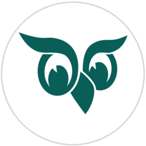 SO logo