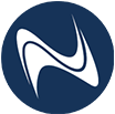 nettsoft homepage logo.png